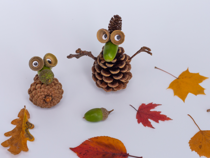 fun-fall-activity-with-leaves-acorns-and-cones
