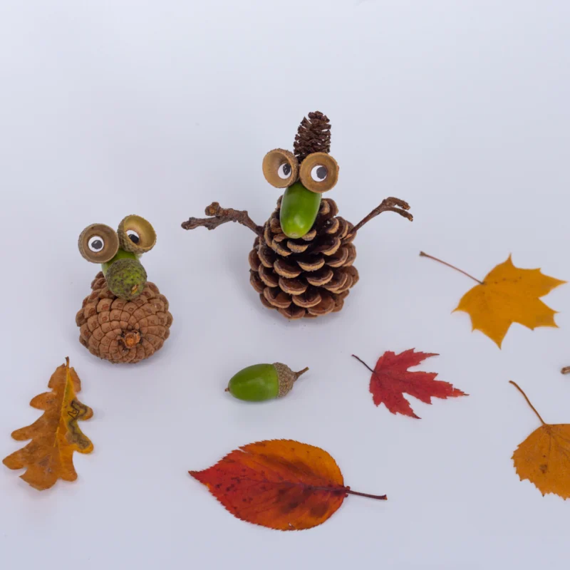 fun-fall-activity-with-leaves-acorns-and-cones