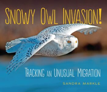 Snowy-Invasion
