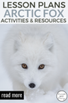 Arctic-Fox-Learning-Activities-List-Resources-for-Kids