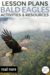 Bald-Eagle-Lesson-Plans-Learning-Activites-Resources-More