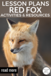 Red-Fox-Learning-Activities-Resources-and-Adventures-for-Kids