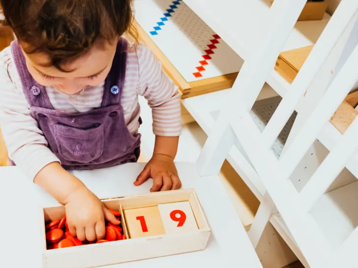 a-3-year-old-working-with-the-card-counters
